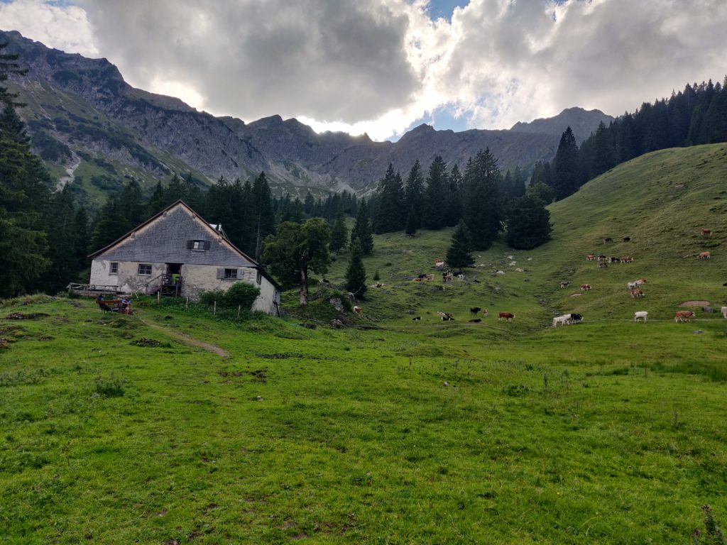 Älple-Alpe