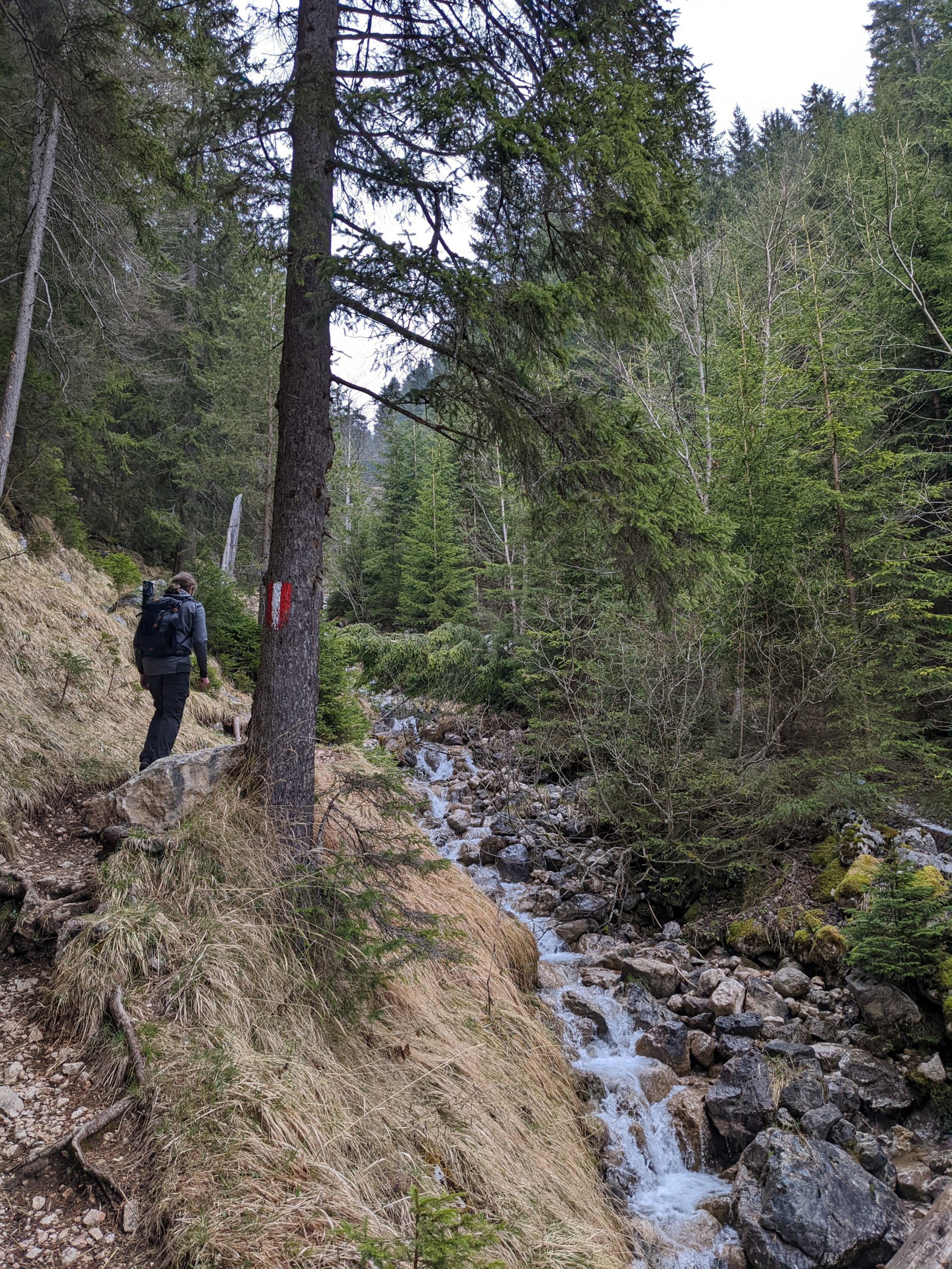 Waldweg am Kasbach