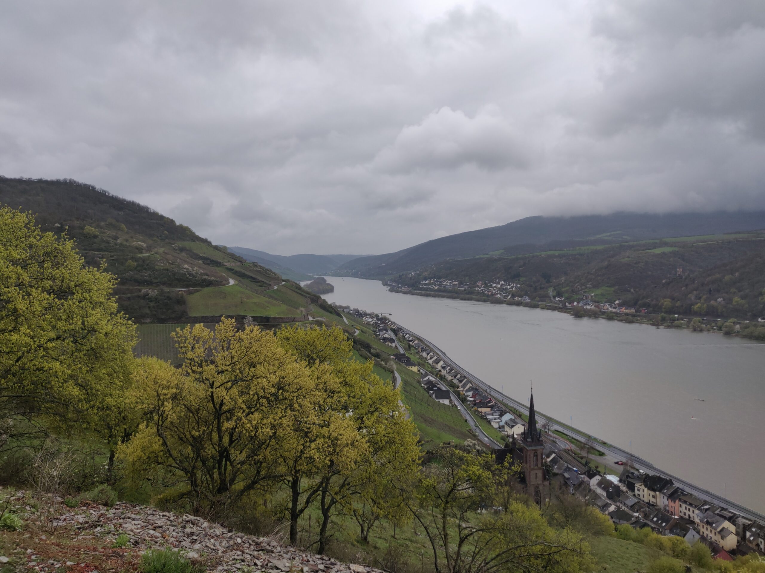 Lorchhausen und der weitere Weg oberhalb des Rheins