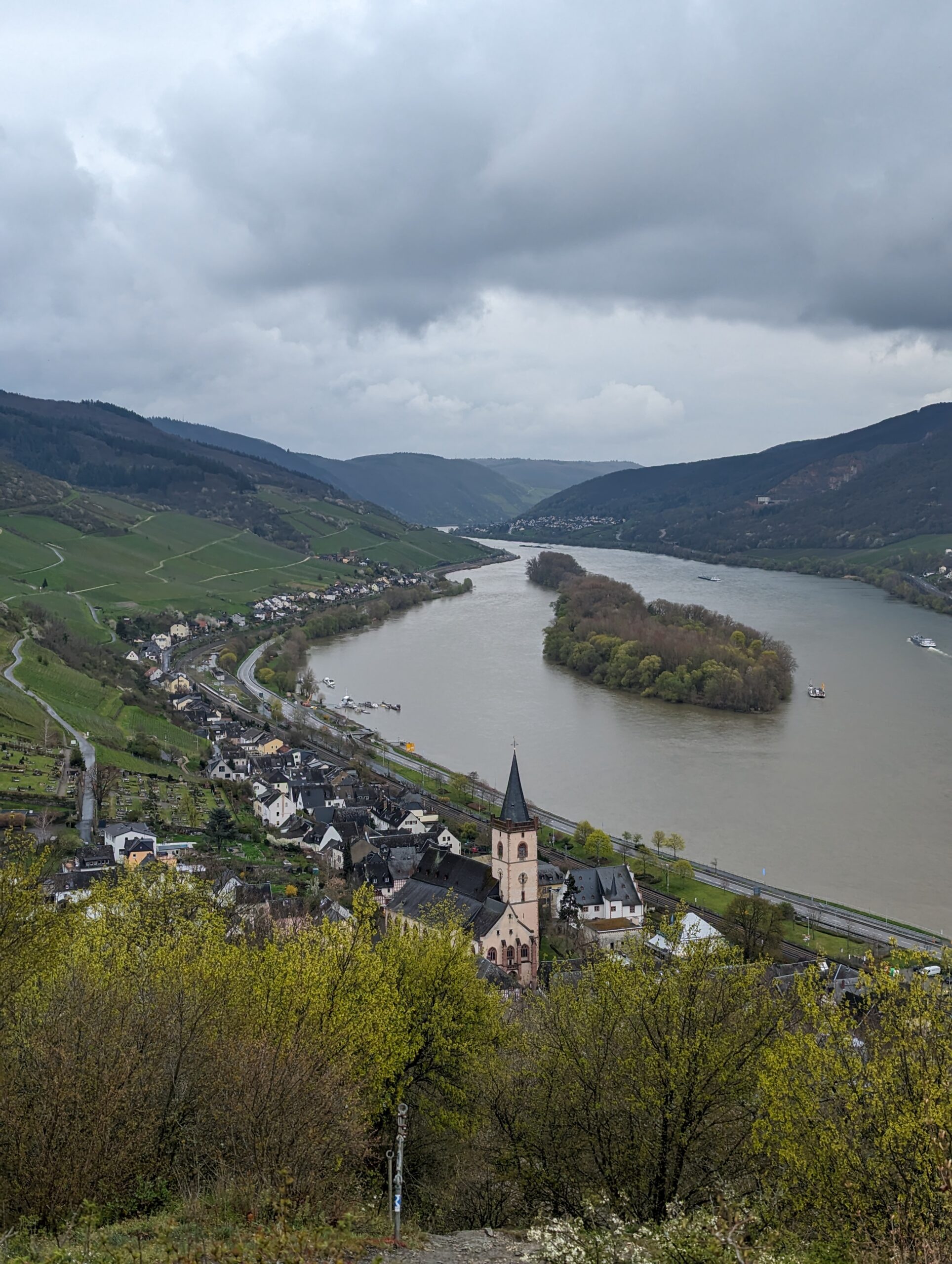 Blick auf Lorch und den Rhein