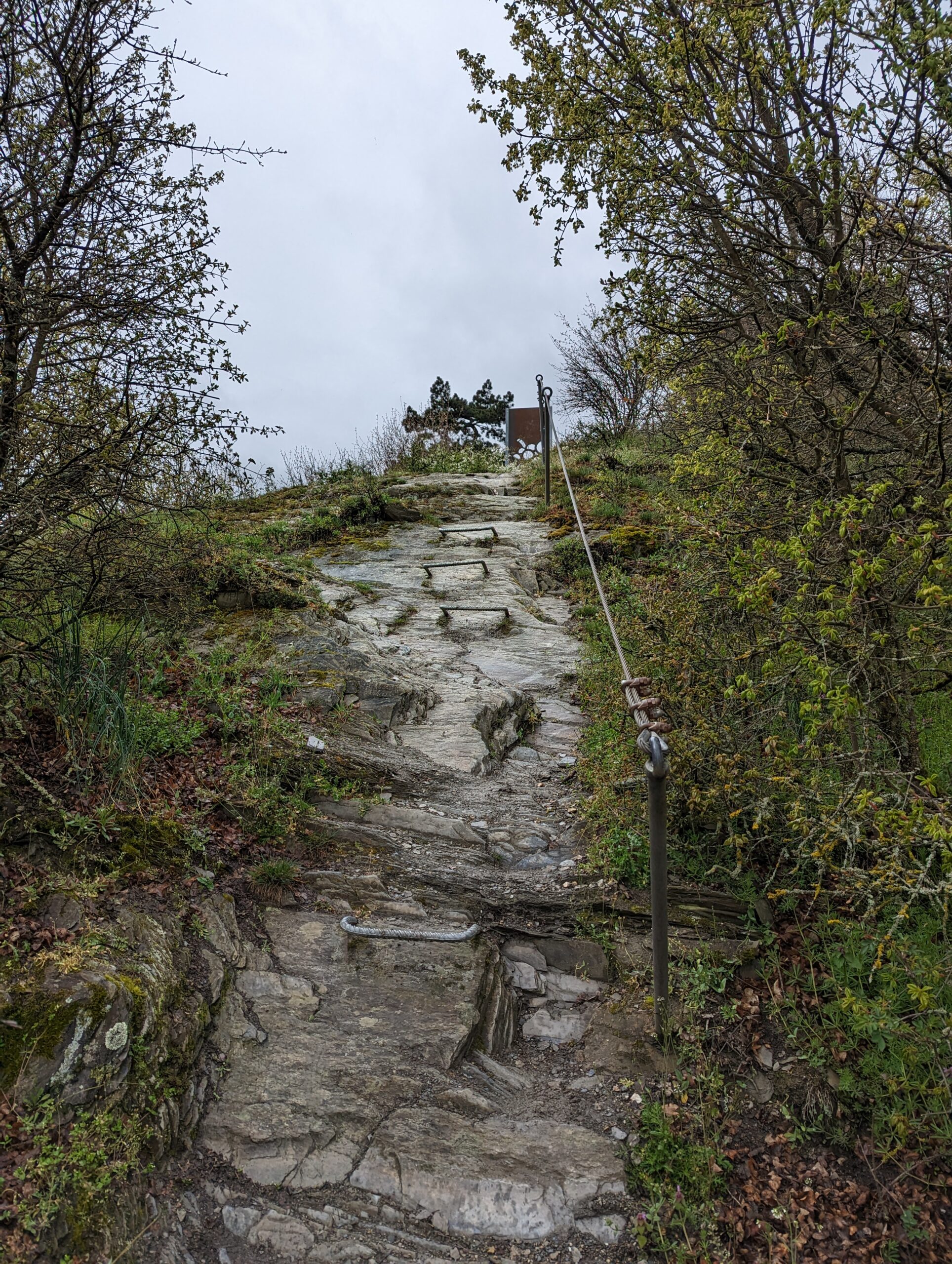 Abstieg von Burg Nollig nach Lorch