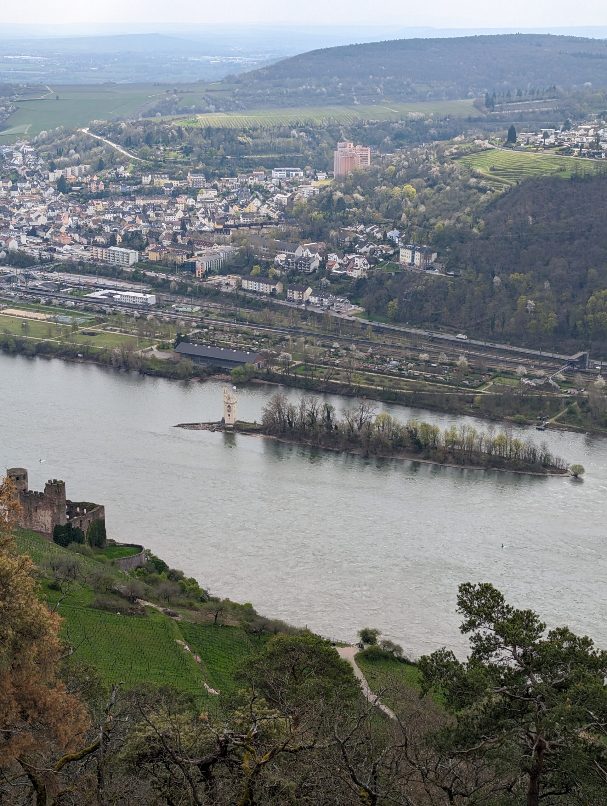 Burg Ehrenfels und Mäuseturm im Rhein
