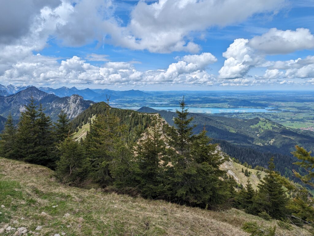 Der Forggensee hinter dem Buchenberg